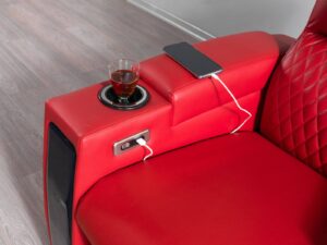 Nita Sinema ve TV Koltuğu