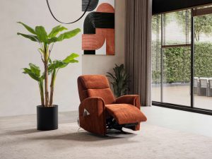 Armon Masajlı Baba ve TV Koltuğu