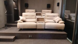 Fitcare Chair Power İkili Sinema ve TV Koltuğu